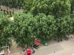 -北戴河集发农业梦想王国
