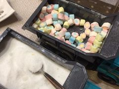 -OPEN開全日自助餐厅·牛肉火锅·海鲜(佛山希尔顿酒店)