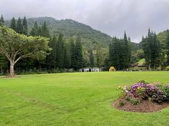 -深圳仙湖植物园