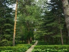 -黑龙江省森林植物园