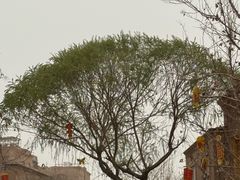 -艾提尕尔清真寺