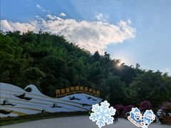-西双版纳原始森林公园