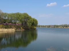 -函谷关历史文化旅游区