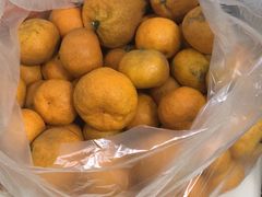 -蜜肆动物奶油蛋糕·个性定制·下午茶甜品