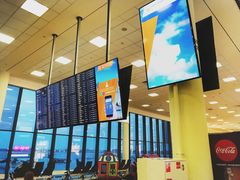 -谢列梅捷沃国际机场