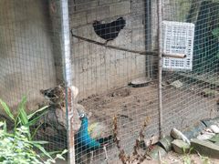 -柞水乾佑红门家菜