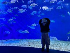 -波塞冬旅游度假区