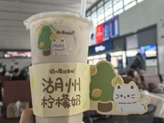 -猫的魔法密林(衣裳街店)
