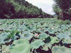 -飞天山旅游区