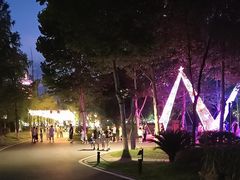 -洋湖国家湿地公园