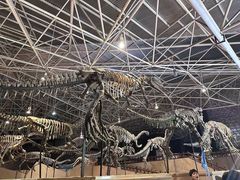 -世界恐龙谷景区