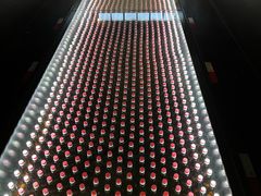 -厨邦酱油文化博览馆