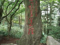 -庐山风景区花径公园