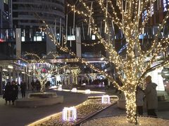 -有家生煎(三里屯店)