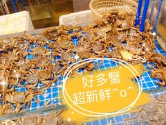 河蟹-半岛听涛蒸汽海鲜自助(K11店)