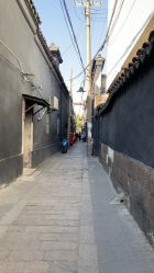 -蚂蚁造型沙龙