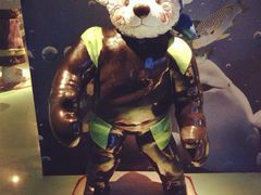iphone_upload_pic-成都泰迪熊博物馆