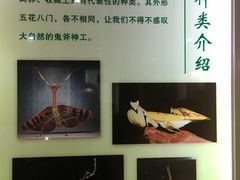 -上海昆虫博物馆