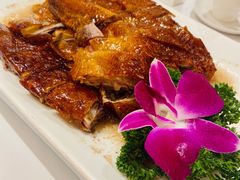烧鹅-星湖愉景酒家