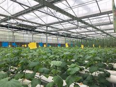 -兰陵国家农业公园