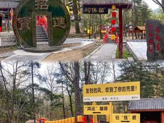 -洛阳白云山景区