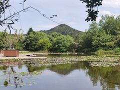 -白马涧龙池景区