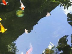 -三亚亚龙湾五号度假别墅酒店