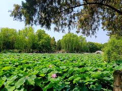 -莲池书院博物馆