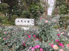 -人民公园(罗湖区)