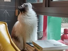 -咖法森林·咖啡  酒吧(天河店)