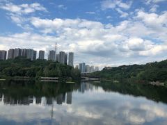-重庆彩云湖湿地公园