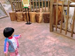 -杭州开元森泊度假乐园