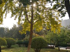 -西安城墙·碑林历史文化景区