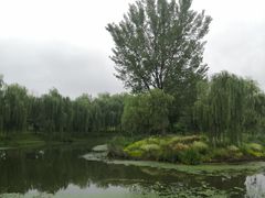 -东郊湿地公园