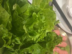 -燚青春东北泥炉烤肉(百合店)