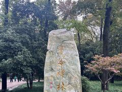 -灵谷景区