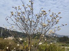 -中国移动南方基地