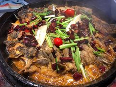 -老板恋上鱼(恒隆广场店)