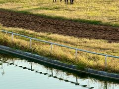 -洛阳马蹄泉旅游度假村