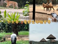 -广州长隆野生动物世界