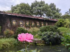 -中国茶叶博物馆(双峰馆区)