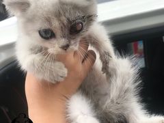 -爱诺耐芙动物医院(万博店)