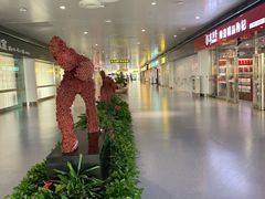 -银川河东国际机场