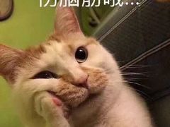 -东方饺子王(文化东路店)