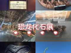 -中国西峡恐龙遗迹园