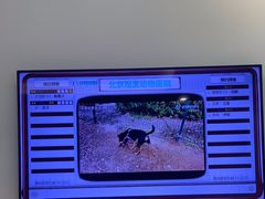 -北京观赏动物医院·24小时大型综合·猫专科·异宠专科