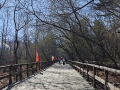 -棋盘山风景区