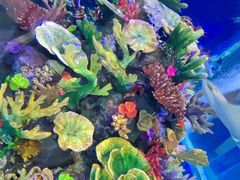 -成都浩海立方海洋公园