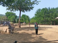 -大连森林动物园