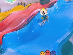 -泉城欧乐堡戏水湾艺术养生温泉